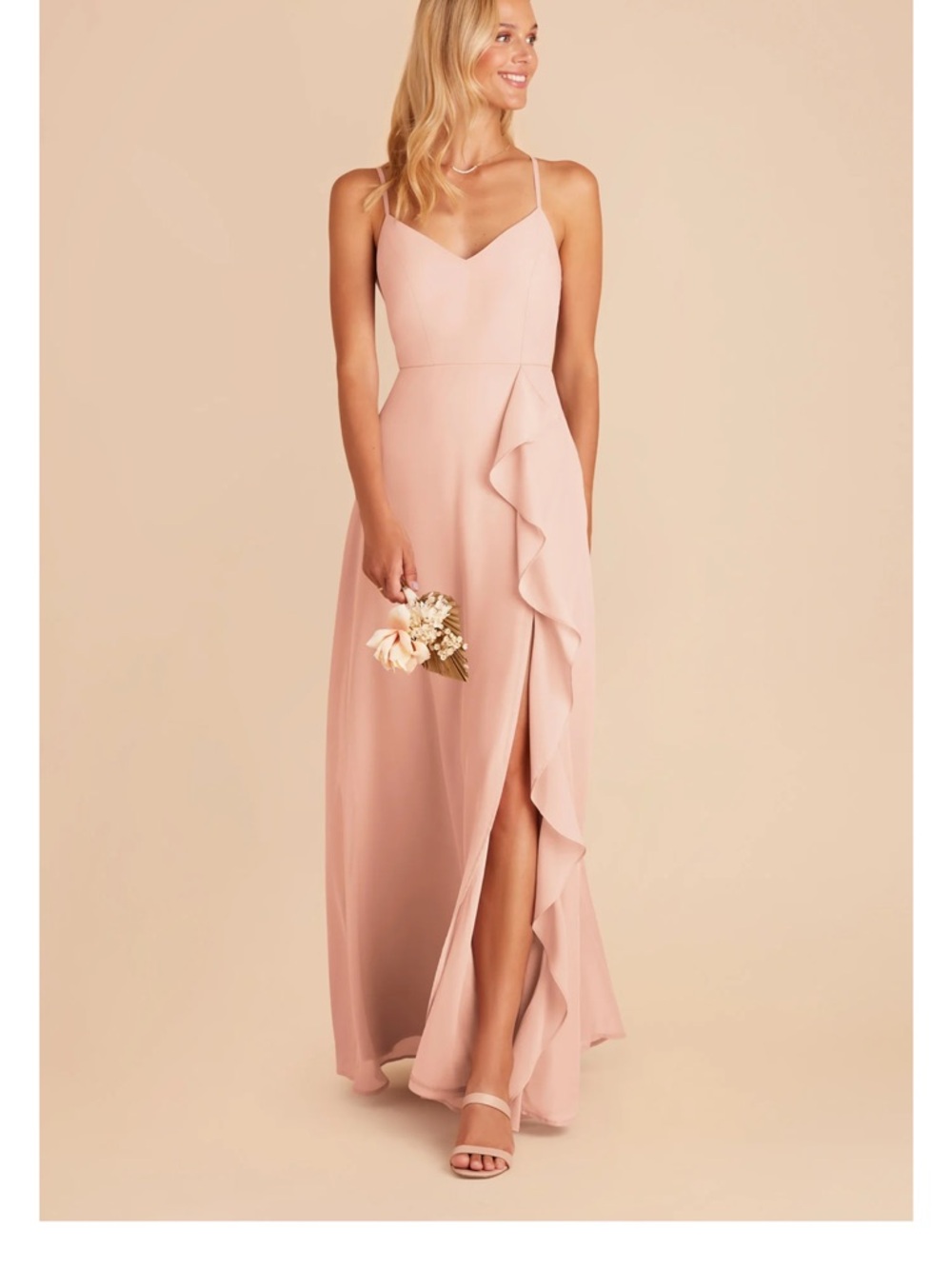 Birdy Grey Theresa Dress Chiffon Blush Pink